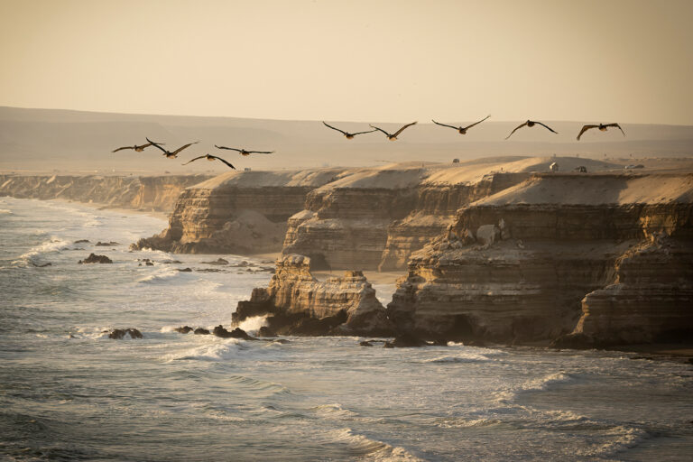 Hernan Ortega - 07-Return-trip